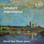 Kemal Cem Yilmaz - Impromptus