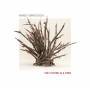 Marco Bardoscia - The Future Is A Tree