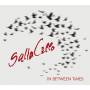 Saltacello - In between Times