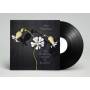 Nils Root 70 Wogram - The pristine sound of Root 70 (limited)