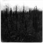 David Bennet & Vilhelm Bromander - Within Reach Of Eventuality