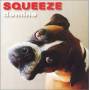 Squeeze - Domino