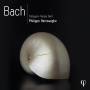 Philippe Herreweghe / Collegium Vocale Gent - Bach