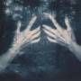 Susana Santos Silva - All The Birds And A Telephone Ringing