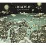 Ligabue - Giro Del Mondo -cd+dvd-