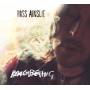 Ross Ainslie - Rememebering