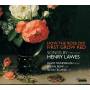 David Munderloh / Julian Behr / Silvia Tecardi - How the Rose did first grow red-Lieder