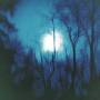 Flying Saucer Attack - Further
