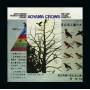 Peter Brtzmann / Toshinori Kondo / + - Aoyama Crows