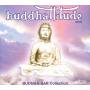 Various - Buddhattitude-Inuk