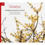 Oxalys - Fltenquartette/Klarinettenquintett