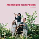 Gschreams - Flamingos an der Sulm