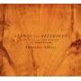 Alexander Puliaev - Sonaten & Variationen Fortepiano