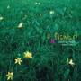 Jeon Su Yeon - Flower