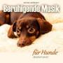 Electric Air Project - Beruhigende Musik Fr Hunde