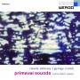 Enrico Belli - Primeval Sounds