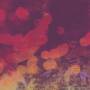 Randy Randall - Sound Field Vol.2020