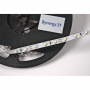 Synergy 21 Led - Flex Strip neutralwei DC12V 24W IP67