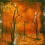 Burden Of Grief - Fields Of Salvation