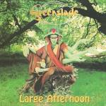 Greenslade - Large Afternoon - Expanded 2CD Edition