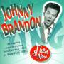 Johnny Brandon - Then & Now-A Musical Journey
