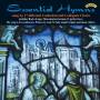 Different Cathedral - Essential Hymns