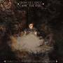 Dana Falconberry & Medicine Bow - From The Forest Came The Fire