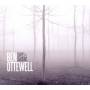 Ben Ottewell - Shapes And Shadows