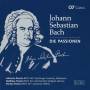 Rademann / Bernius / Willens / Gaechinger Cantorey / + - Die Passionen