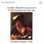 Alexandre Magnin - Zwlf Fantasien Fr Flte Solo