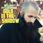 William Fitzsimmons - Gold In The Shadow (LP+CD)