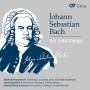 Bernius / Kammerchor Stuttgart / Barockorch.Stuttg. - Die Oratorien