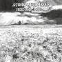 Straw Man Army - Age Of Exile