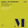 Il Pomo D'Oro / Maxim Emelyanychev / Ivan Podyomov - Sinfonien 29 & 40/Oboenkonzert