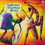 Various - Didgeridoo Percussion Mystic (180 G)