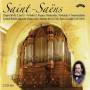 Gerard Brooks - Saint-Saens Oragn Works Vol.2+3