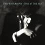Waterboys - This is the Sea