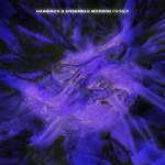 Hainbach (Stefan Goetsch) / Ensemble Modern - Primer