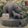 Various - 40 Years Bear Family Records