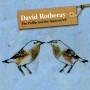 David Rotheray - Puffin & Squirrel EP