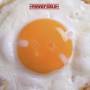 Powersolo - Egg