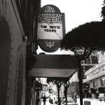 The Bevis Frond - Live at the Great American Music Hall