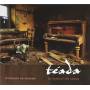 Teada - In Spite Of The Storm
