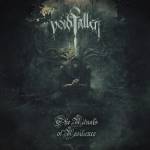 Voidfallen - The Rituals Of Resilience