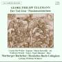 Ott-Weiler / Wende / Bachchor Main - Der Tod Jesu-Passionsoratorium (TWV 5:6)