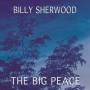 Billy Sherwood - The Big Peace