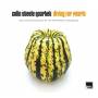Colin Quartet Steele - Diving For Pearls