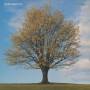 John Martyn - Classics