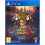 Picchiaduro - Double Dragon Gaiden: Rise Of The Dragons