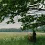 Various - Native Music 15